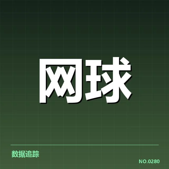 确诊肩伤及相关康复安排的具体事实